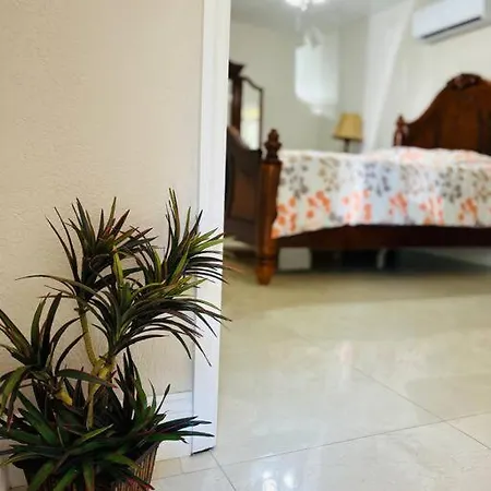 Pyramid Studio + Free Parking&Wifi/ 5%Off Tampa Exterior foto