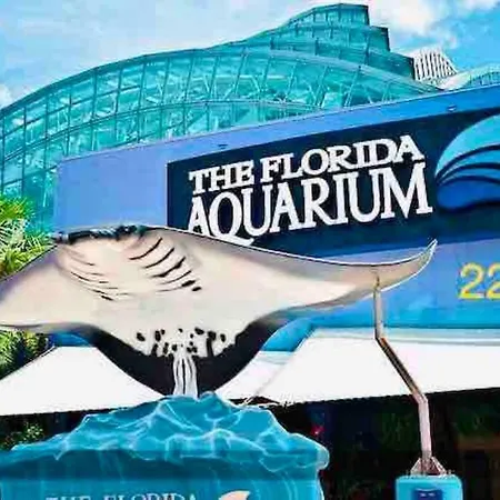 Pyramid Studio + Free Parking&Wifi/ 5%Off Tampa Exterior foto
