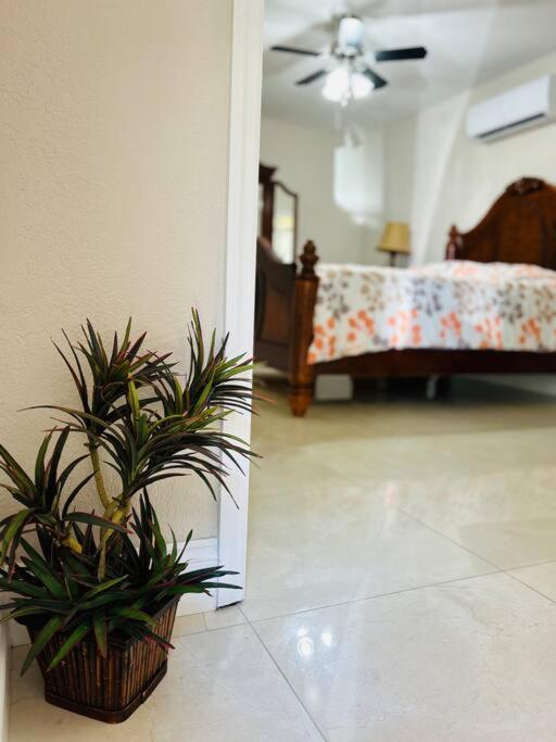 Pyramid + Free Parking&wifi/ 5%off Apartment *